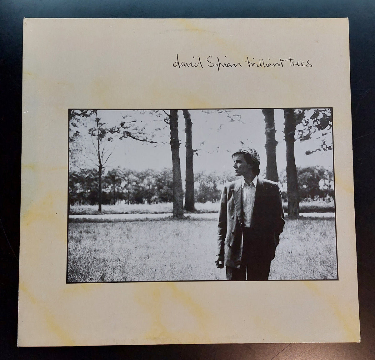 David Sylvian - Brilliant Trees LP