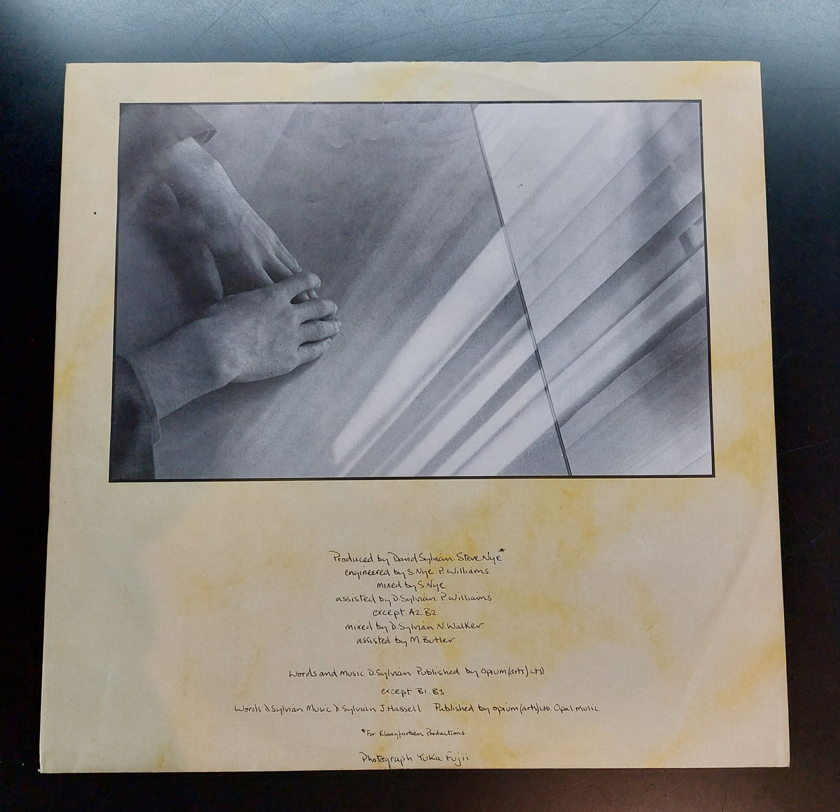 David Sylvian - Brilliant Trees LP